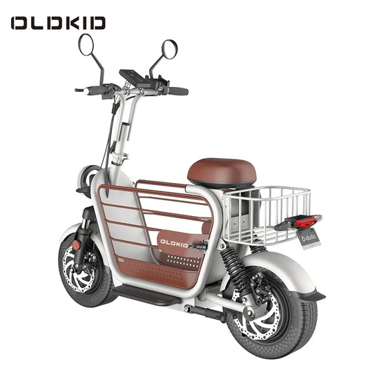 2026New models 48V400W 14inch electric bike electric bicycles for adults folding electric bicycle carrying pets